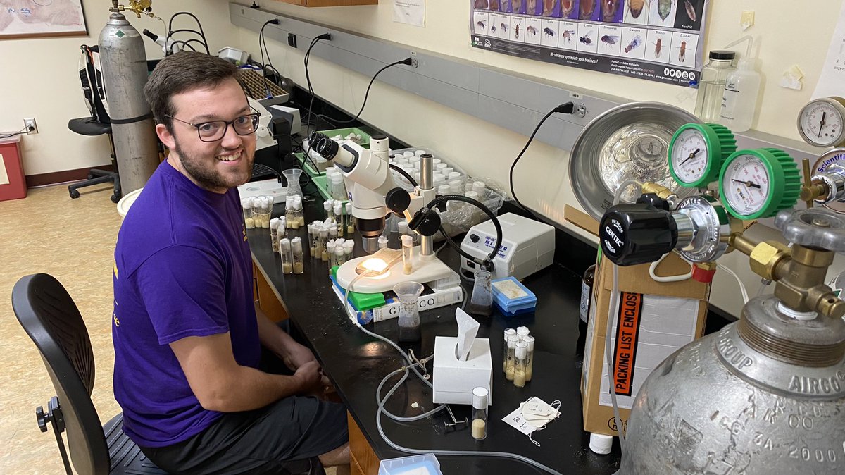 AlbionFURSCA's tweet photo. Austin Raymond works to understand transposable elements of heredity in fruit flies. “I gained lifelong friends that I would never have met if it was not for this experience, so I am eternally grateful to be a part of #FURSCA, with the other exceptional students!” #albioncollege https://t.co/L2fYclLkLt