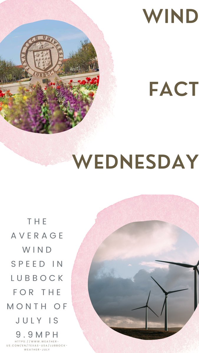 TTUrenewable's tweet photo. Hope you’re having a delightful Wednesday! #WindFactWednesday https://t.co/2mBH1XXC7N