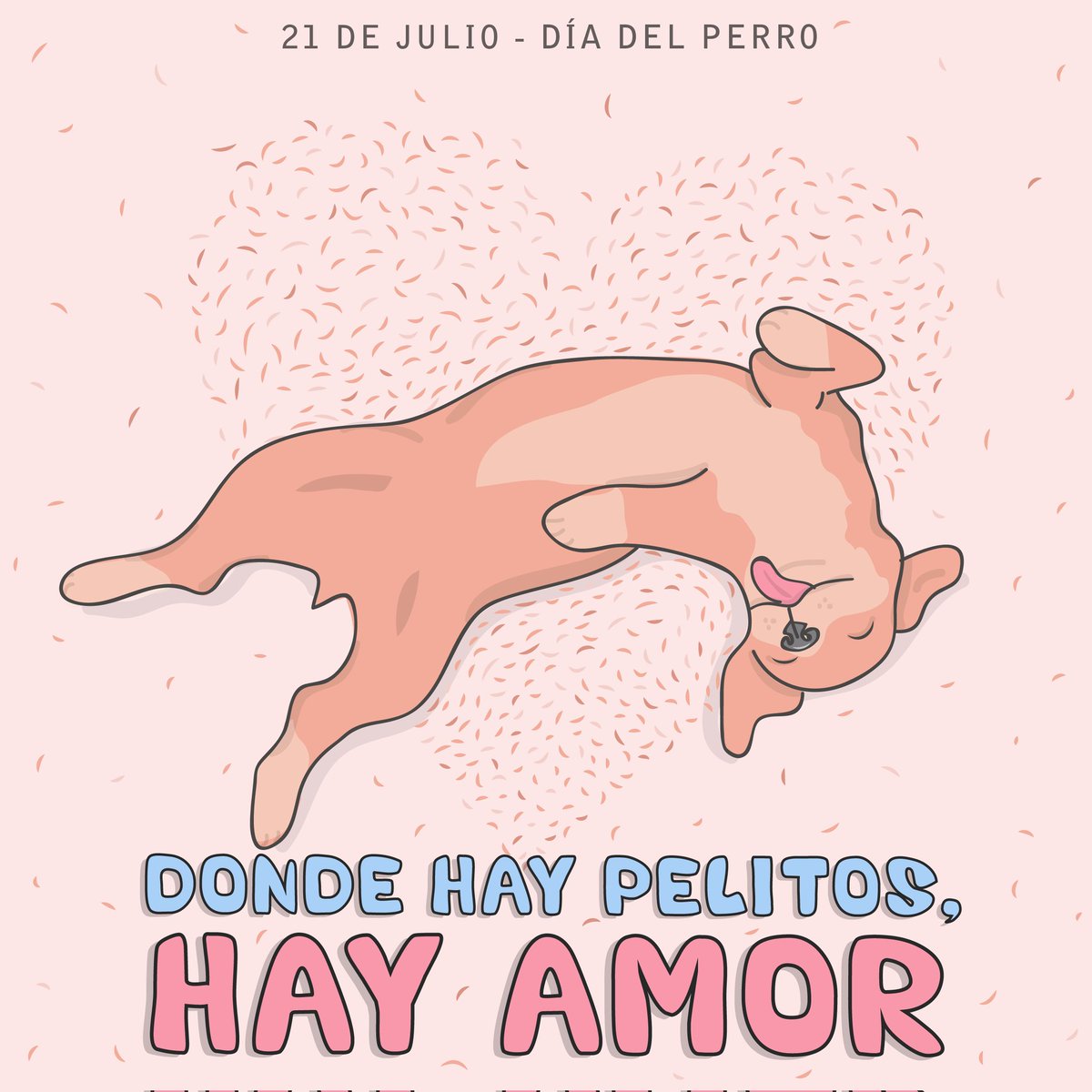 Cerveza Apolo tweet media