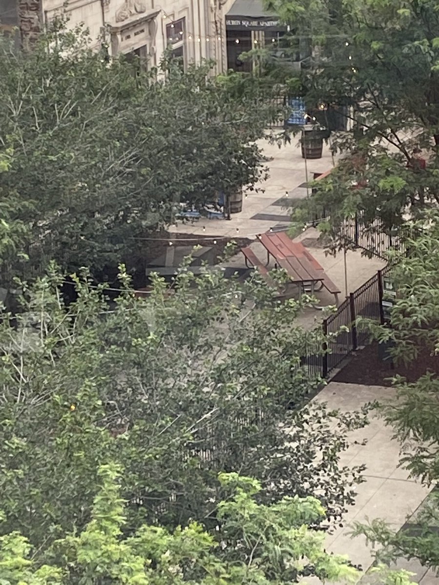 Joseph Nanni tweet media