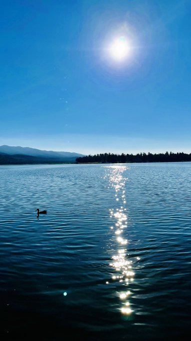 Watch ahri 아리 🍜's leaked NSFW photo on TwXstars