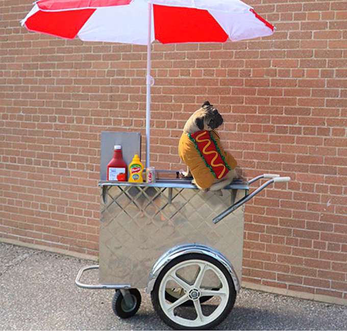 Not, never will be a sandwich #NationalHotDogDay https://t.co/yftLzlHru1<a href="/tag/nationalhotdogday"class="tags">#NationalHotDogDay</a>