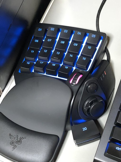 イラスト作業のお供に大変役立ってくれてます…
もはやTartarusなしではいられない身体に…  #RazerJP150K 