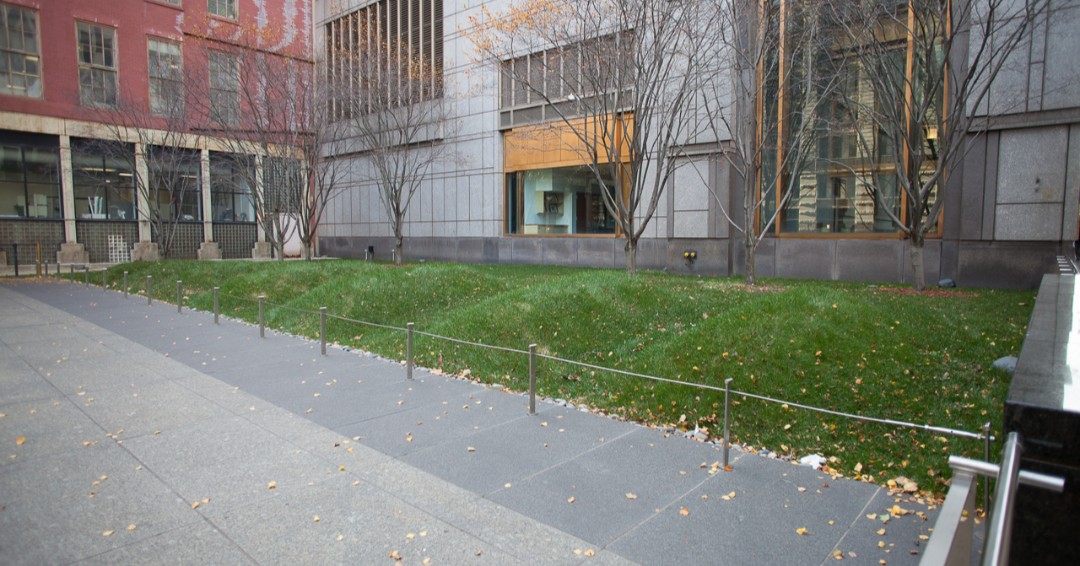 Image: Color photograph of the re-interment grove.
