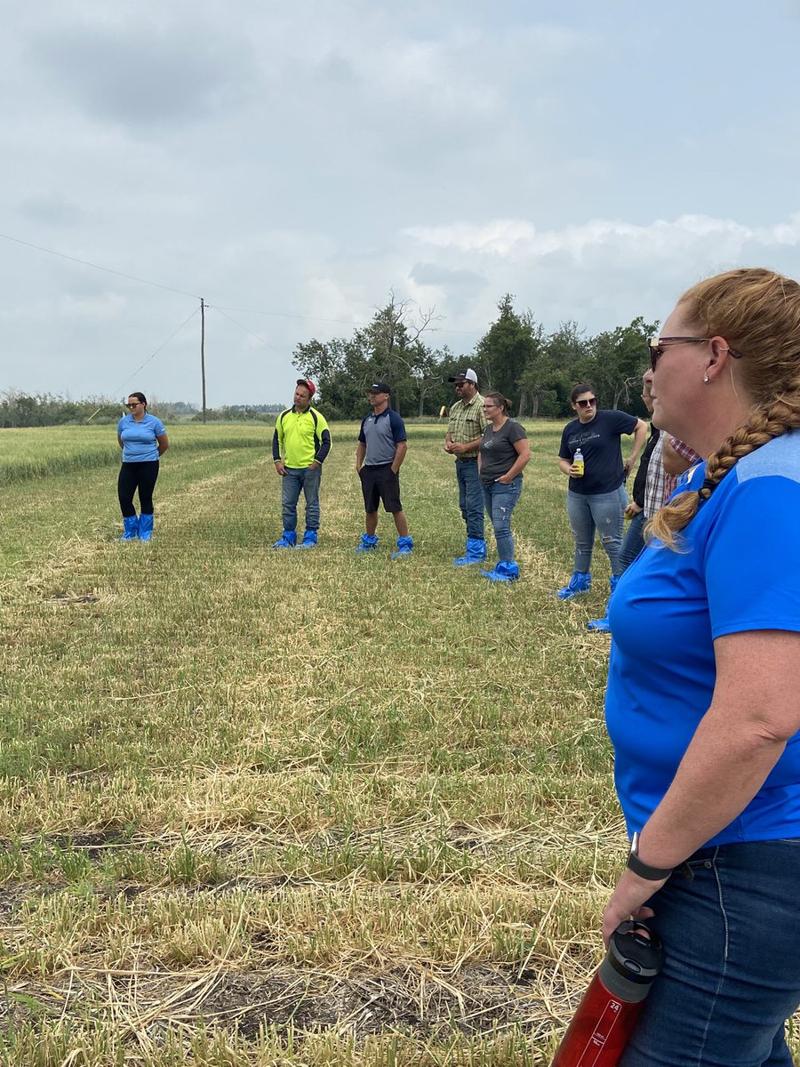 tbonestracy's tweet photo. BASF Plot your today at work with several producers. Looking at the new canola varieties, new seed treatments, herbicides and fungicides for next year. @ParrishHeimbeck #Invigor #BASF #summer2021 https://t.co/Uos8uM4EEV