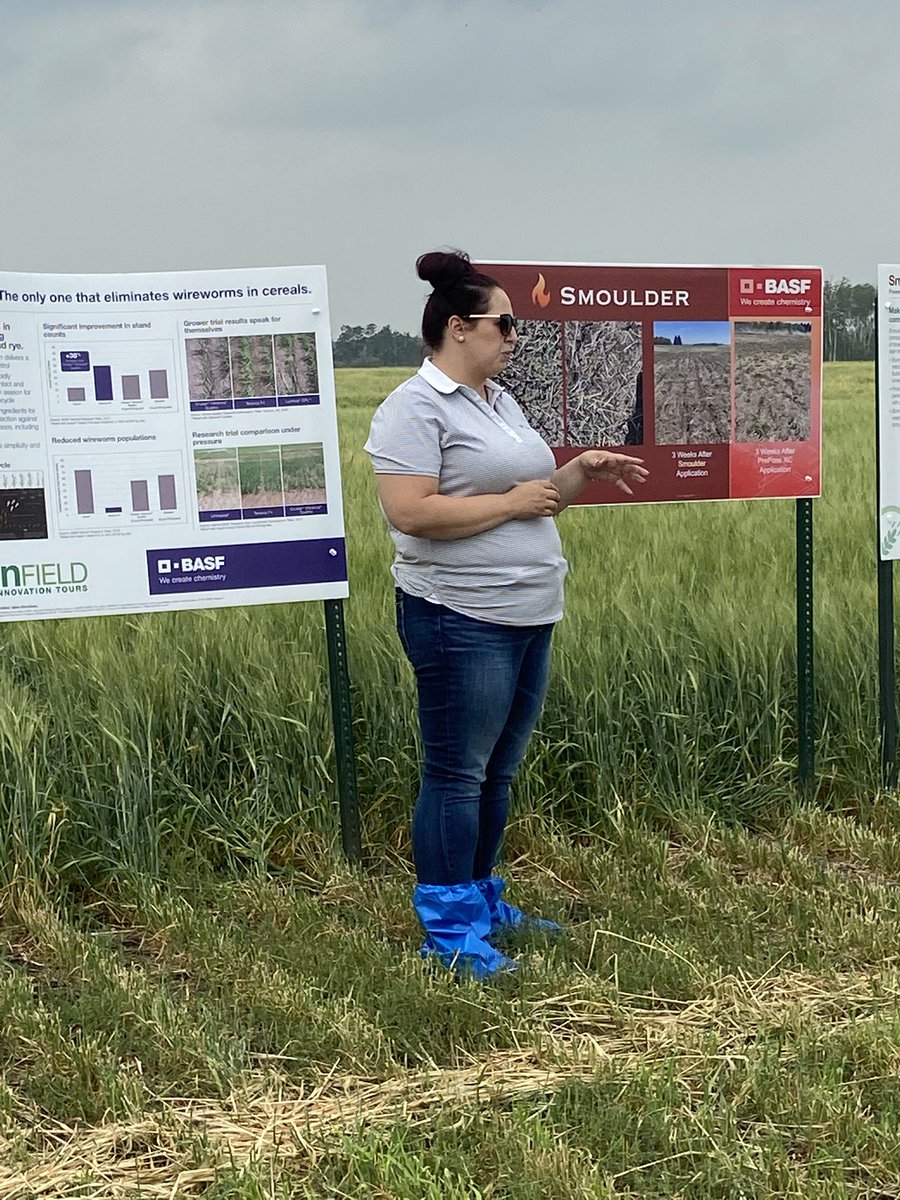 tbonestracy's tweet photo. BASF Plot your today at work with several producers. Looking at the new canola varieties, new seed treatments, herbicides and fungicides for next year. @ParrishHeimbeck #Invigor #BASF #summer2021 https://t.co/Uos8uM4EEV
