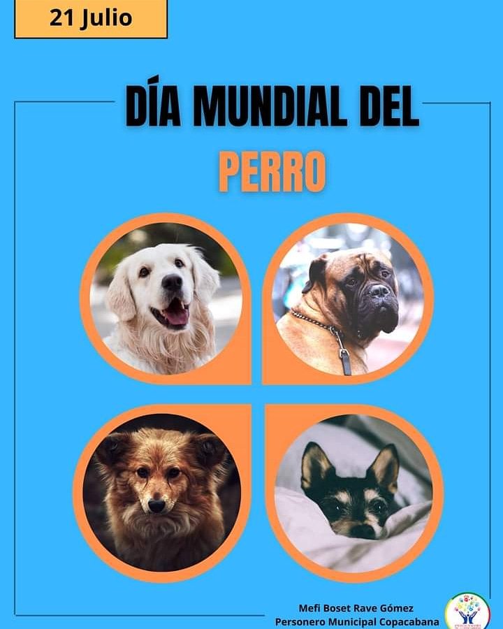 personeriacopa's tweet photo. 🐹Hoy 21 de Julio se celebra el día internacional del perro, fecha para homenajear y agradecer por su amor y lealtad incondicional a estos animales de compañía, además de sensibilizar a la población sobre los abusos y maltratos que suelen sufrir.

#UnaPersoneríaAmiga https://t.co/MQl5LdlSjD