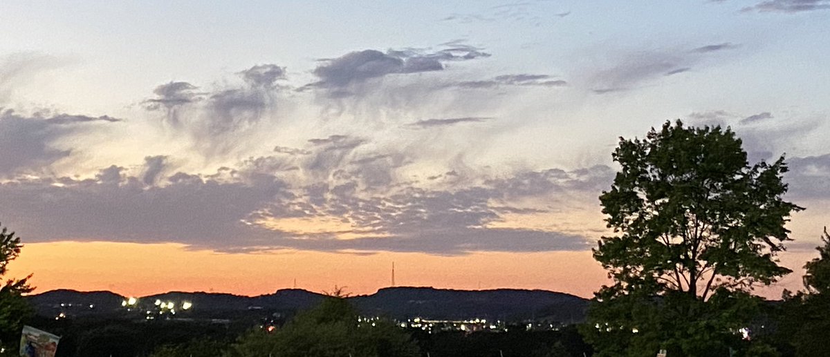 mischiefsofmayhem/READ BIO tweet media