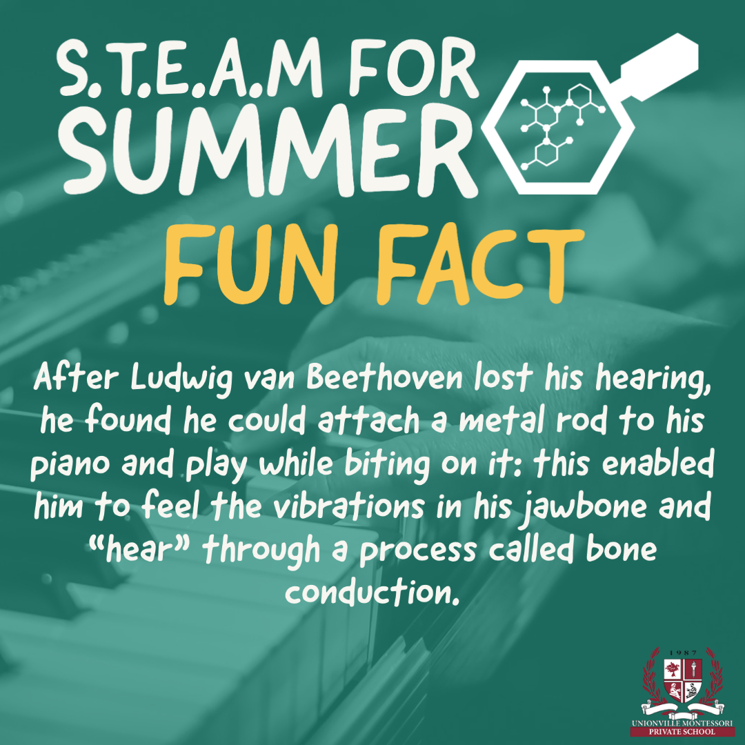 UC_InTouch's tweet photo. Did you know that people can both hear and "feel" music? Today's #STEAMforSummer fact talks about bone conduction — one of the many methods that humans can use to sense the world around them in unique ways! https://t.co/AouWRx4oiQ