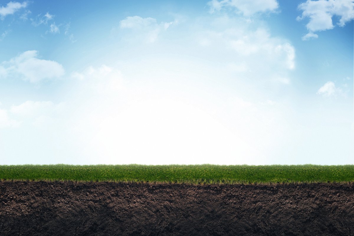 tgmsoftware's tweet photo. Grass App for Sheep Now Available! Plan your grazing rotation and grass cover with the Grass App. £99 + VAT per year with an initial installation fee of £25 + VAT. Get in touch with us to find out more. #grassapp #grazingrotation #agritech https://t.co/umws8dkrVX
