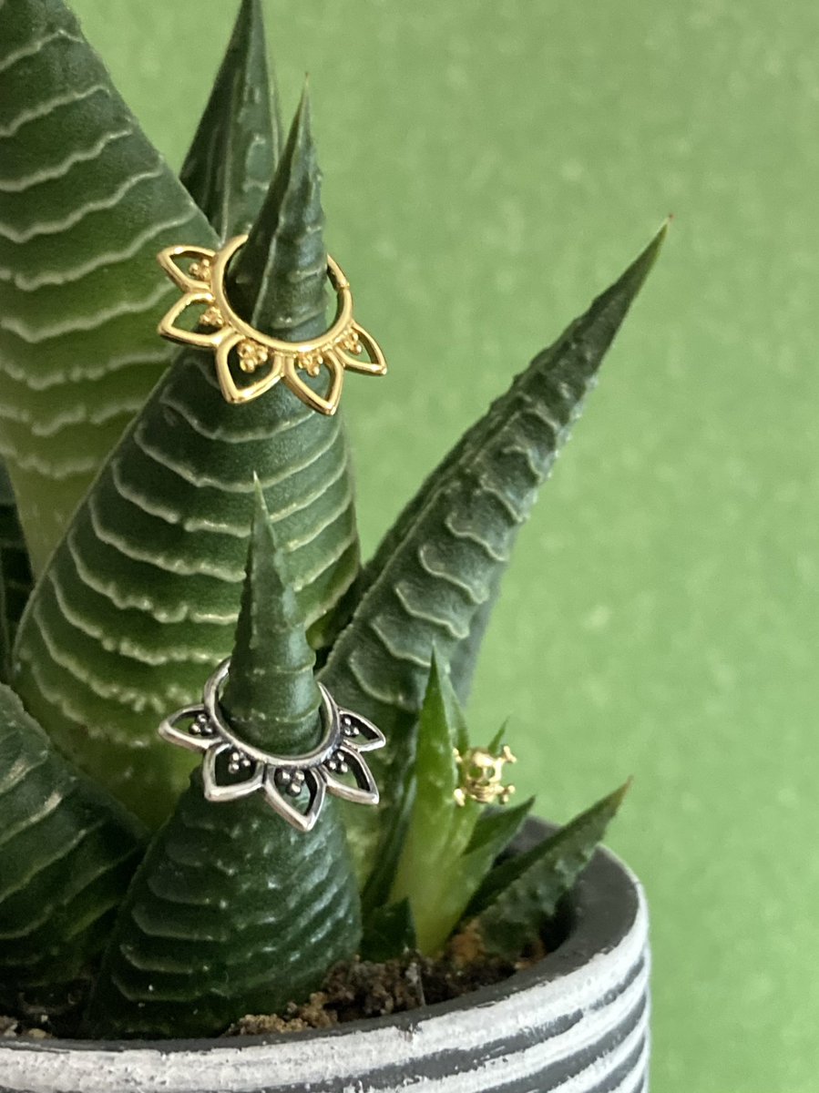 Daw4n's tweet photo. Silver Flower Nose Ring and I spy the Skull Nose Stud too 👀 #aesthetic #giftsforher #giftshop #jewelryaddict #sterlingsilver #nosering #nosestuds #piercings #shopping #jewellery #silver #jewelry #onlineshop #fashionista  #fbloggers https://t.co/d8bS7asImv