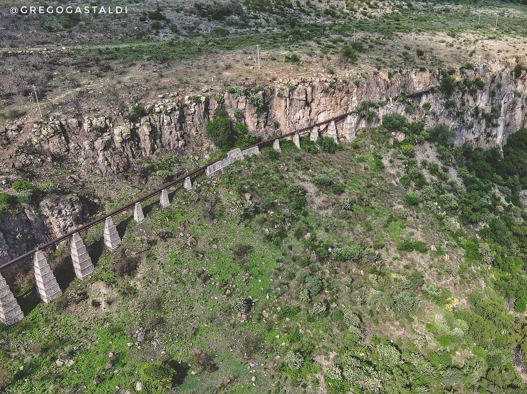 PasionxGuanajuato tweet media