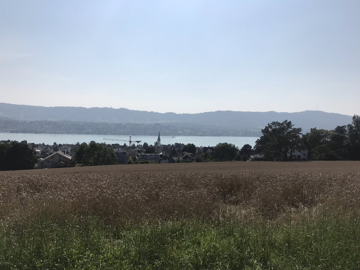BettinaRezania's tweet photo. Swimming and walking, day 890 of #900daysofwalking #100daysofwalking #300crew https://t.co/ifYITMFaVn