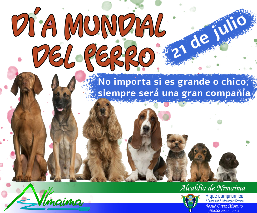 #MásQueCompromisoCapacidadLiderazgoGestión #DíaInternacionalDelPerro
- Adopta un perro de tu refugio local.
- Dona a organizaciones de bienestar animal.
- Saca a pasear a tu perro.
- Regala a tu perro un juguete nuevo.
- Enseña a tu perro un nuevo truco.