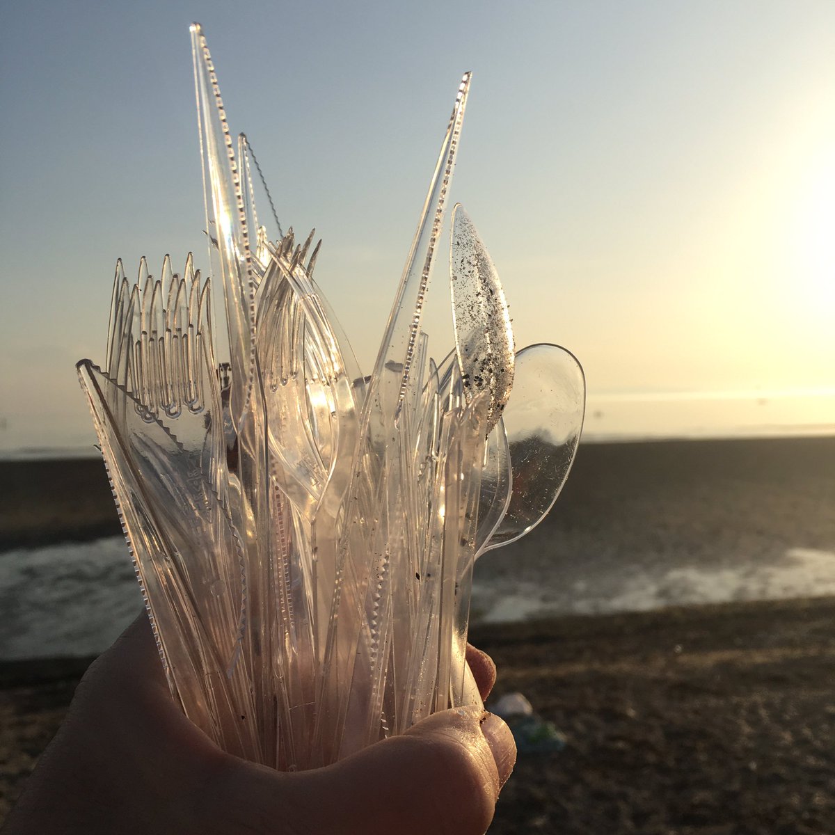 Like they just tipped them out the bag and walked away <a href="/2minbeachclean/">2 Minute Beach Clean</a> <a href="/Plastic_Wars/">Unfantastic plastic</a> #beachclean #litter #plasticpollution #SingleUsePlastic #Scotland #Troon