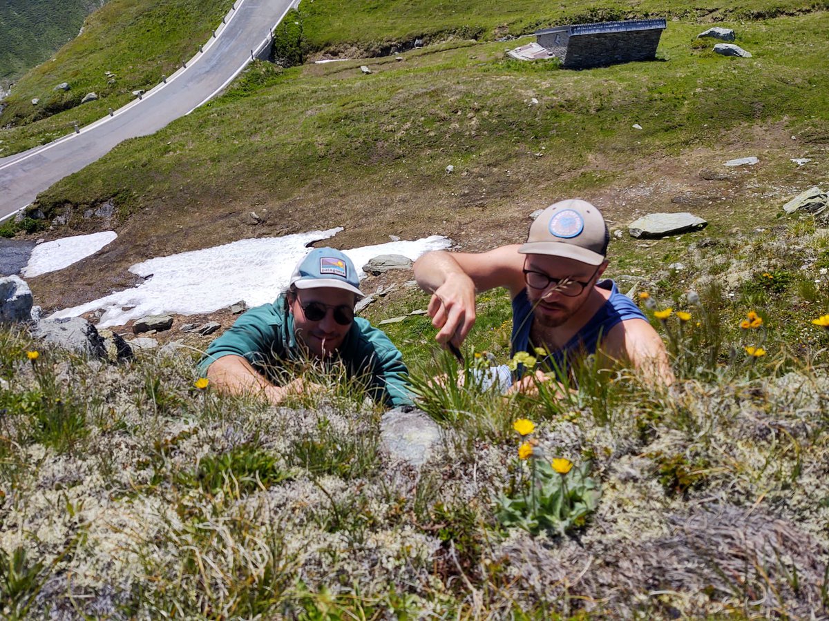 MaxSchuchardt's tweet image. Hot off the press! The newest publication of me and @BBerauer et al. on phenological responses in a warming climate in the #bavarian #Alps. 
As member of @DisturbanceEco1 and @TransplantNET in the #SusAlps project.

doi.org/10.1002/ecs2.3…