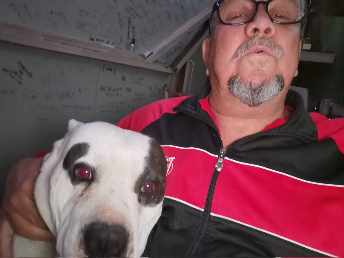 Mario_XEM's tweet photo. #perroreal https://t.co/41qFEpJwUQ