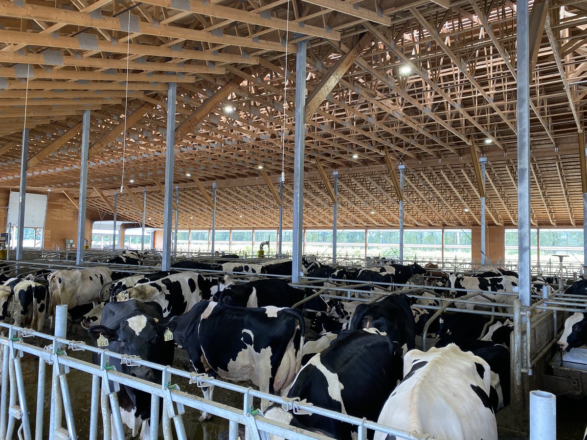Nice 3 V300 in BC. Melinke farms.