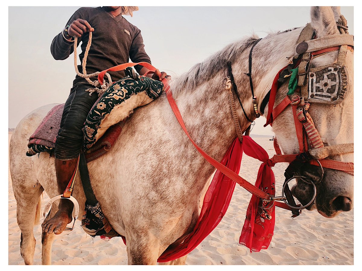 joe greer tweet media