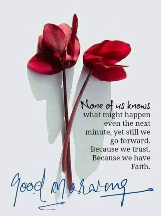 syfdeen's tweet photo. @arooba_mumtaz @cute_girl788 Hallo how are you wat doing today https://t.co/wLdIuN9WKo