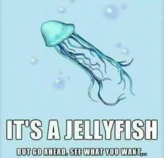 It's a jellyfish!
