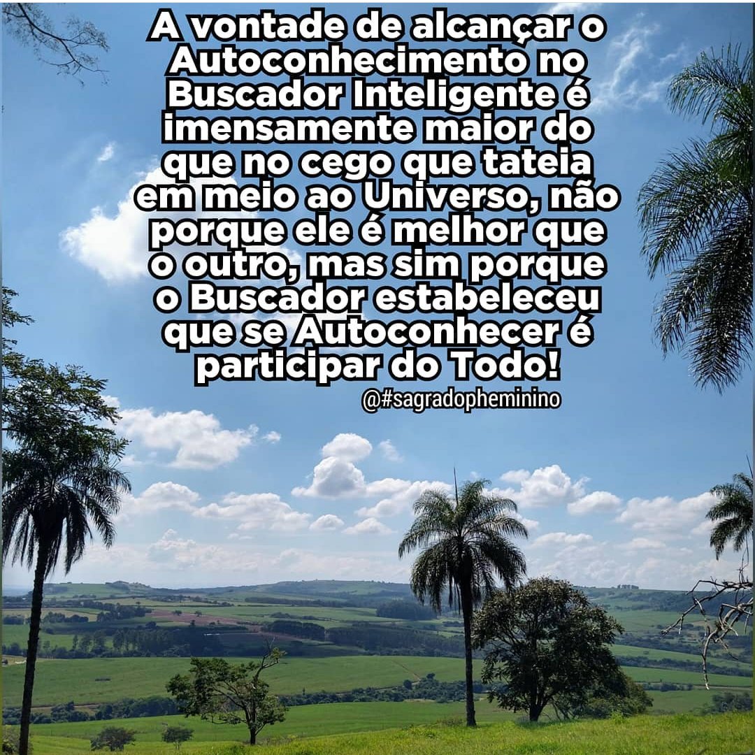pheminino's tweet image. #buscarconhecimento #buscaromelhor #buscainterior