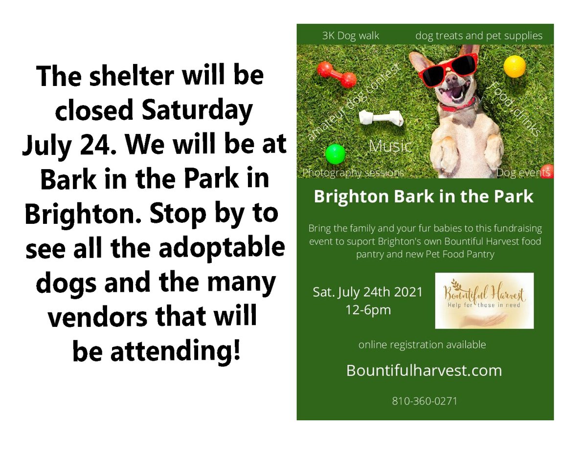 LivCo Animal Shelter (@lcas_howell) on Twitter photo 