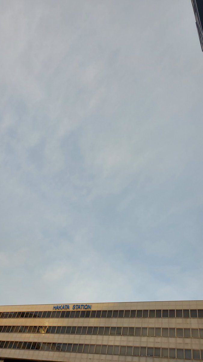 花言葉 X あなたと一緒なら心がやわらぐ Hotワード