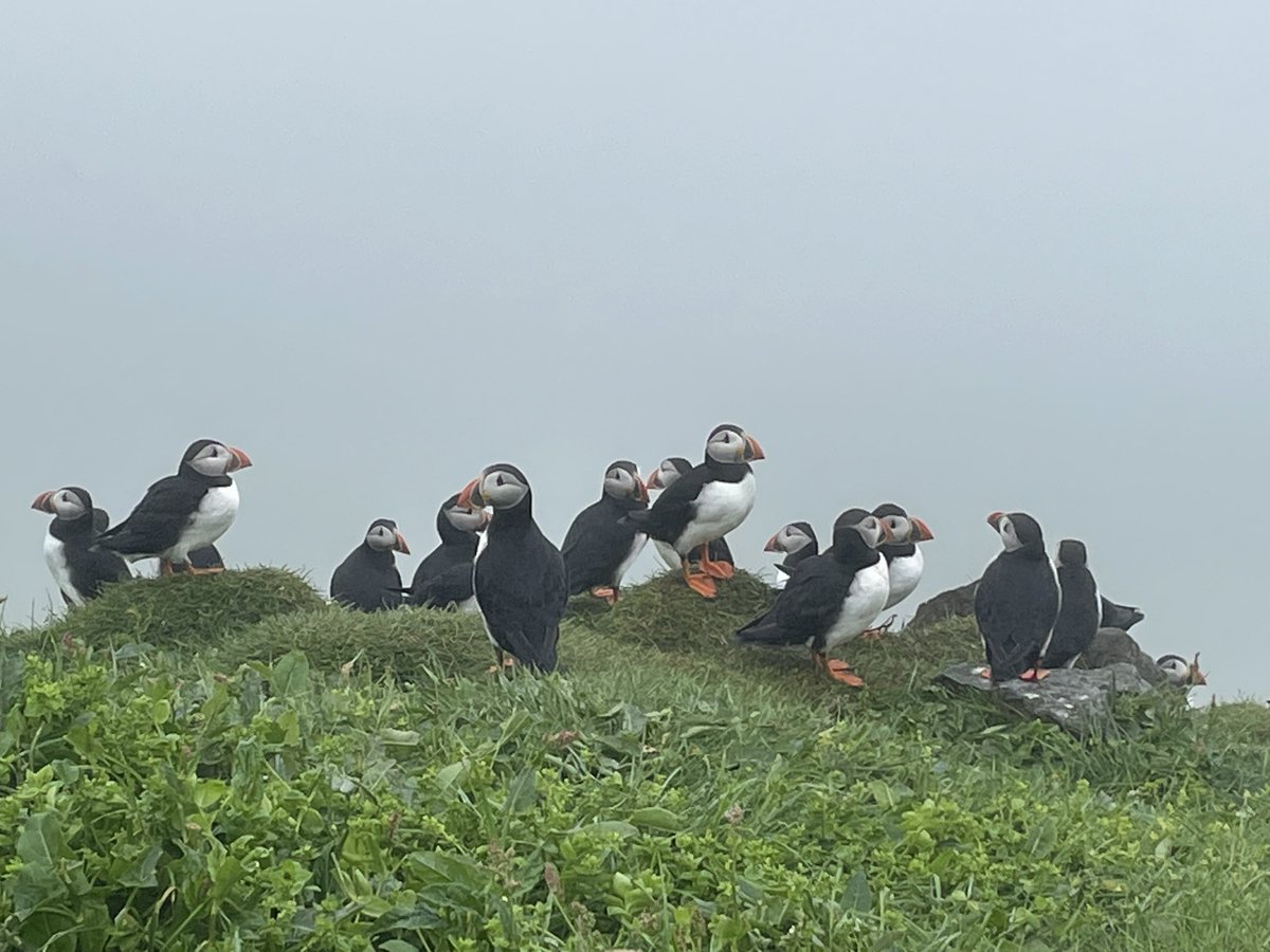 Nicolas Martin tweet media