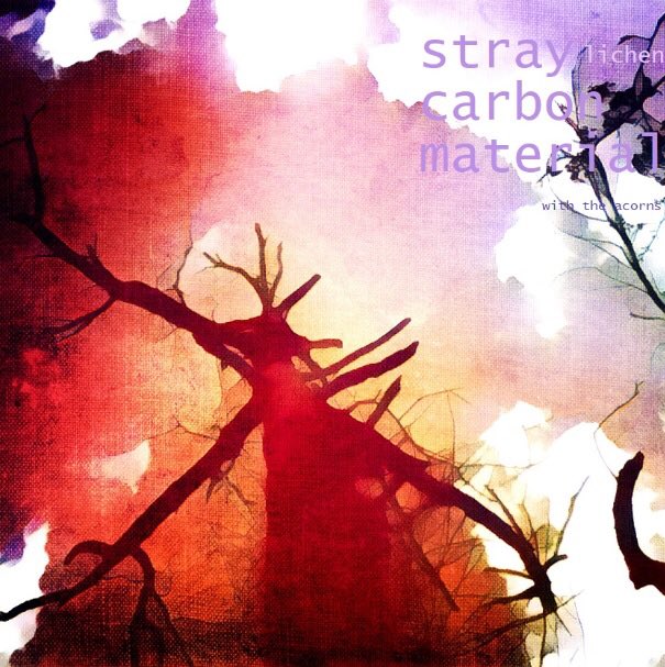 lichensynthesis's tweet image. New music from @lichensynthesis on #AcmeRecords &amp;gt; ‘Stray Carbon Material’ ~  #lofi #analogSynthesis #liveMusic ~ acmeartscollective.com/acmeprojects/i…