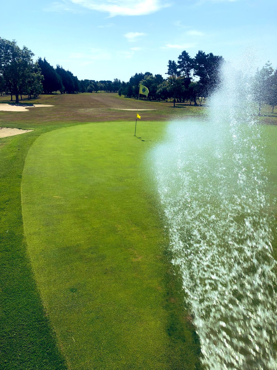 Robby Moore tweet media