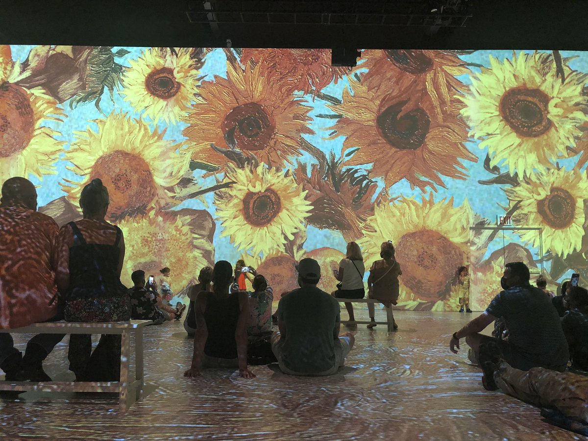 𝙼𝚒𝚜𝚜 𝙲𝚒𝚞𝚖𝚎𝚒 tweet media