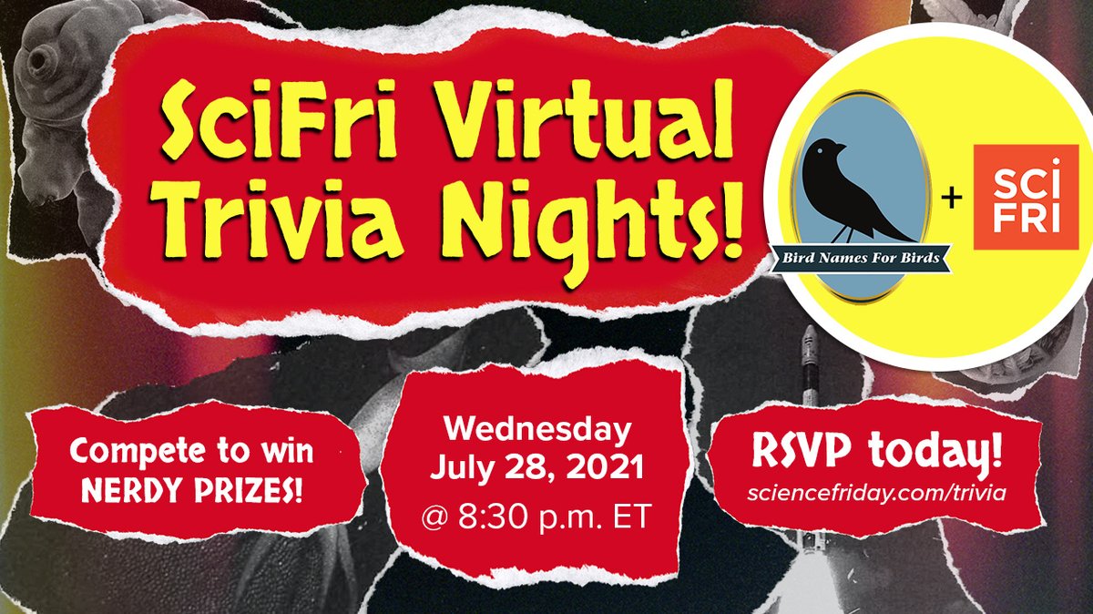 Next week's <a href="/scifri/">Science Friday</a> Trivia Night w/ @JuitaMartinez + <a href="/BirdNames4Birds/">Bird Names For Birds</a> is almost here! 🦉 

Do you think you know a lot about our feathered friends? Join us next Weds. July 28 @ 8:30pm ET with your flock! RSVP on our site --&gt; sciencefriday.com/articles/scifr…