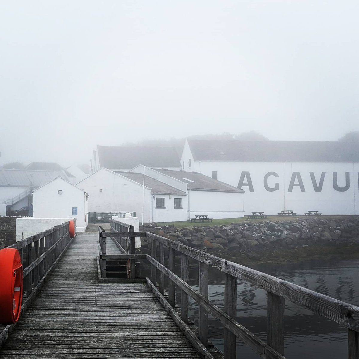 myscottishdiary's tweet photo. Recently the island has started greeting the mornings in the hands of mist. Love this. I will hate this though when I have to take a plane! Ha ha. 

#lagavulin #whisky #scotch #distillery
#mist #nature https://t.co/D1LKWTq7RW