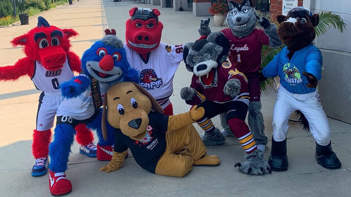Loyola Ramblers tweet media
