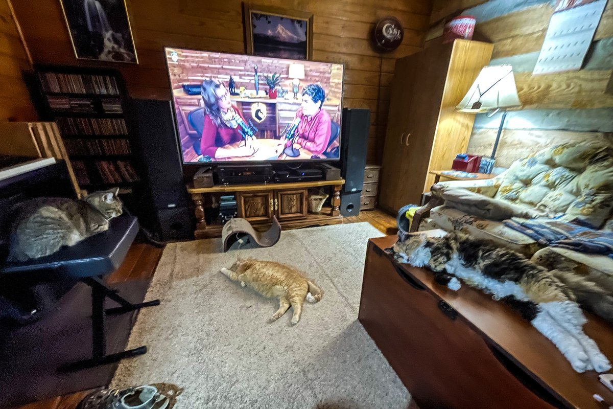 HankAllen's tweet image. I wanted to let @HeatherEHeying and @BretWeinstein that I totally understand what it's like to lose a pet. They really are family. I watched your last livestream with Stevie, Andy and Emma.