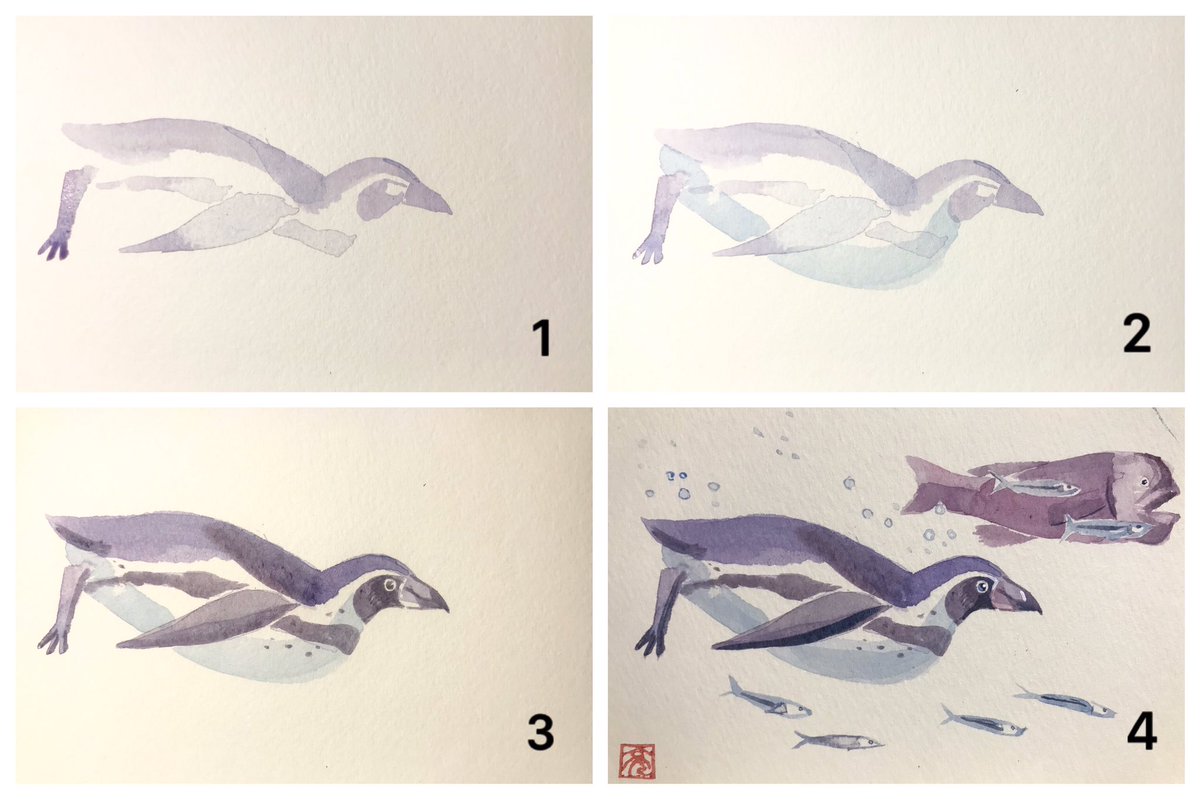 松本亮平 Ryohei Matsumoto ペンギンの描き方