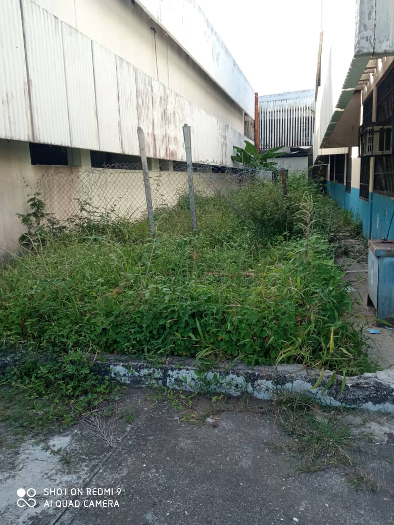 orellana_merwin's tweet photo. En vacunación de mi Esposo, en Ambulatorio de Bucaral Valencia, nos sorprendió el descuido del mantenimiento de la áreas externas de tan importante centro, habilitado para Vacunación, pedimos a nuestro Gobernador @rafaellacava10 solución inmediata.
@NicolasMaduro 
@dcabellor https://t.co/MxhtlyEGkW