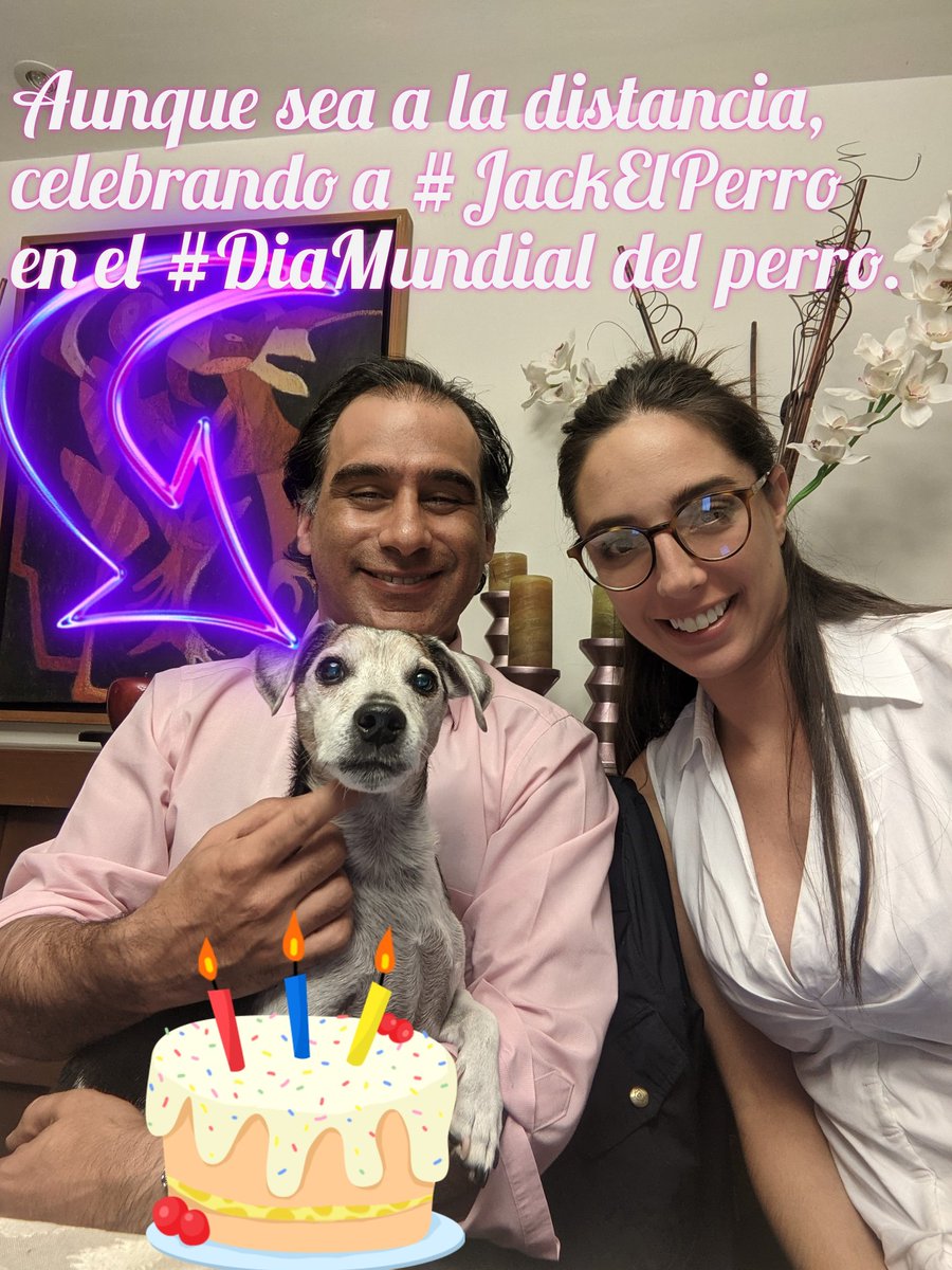 MichelChain's tweet photo. #DiaMundialDelPerro #JackElPerro https://t.co/lSFc7ETgOI