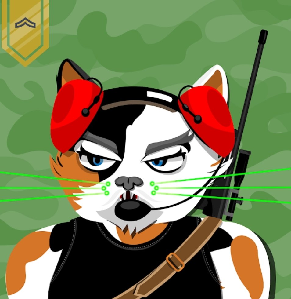 CharizardgoRAWR's tweet image. #madcatmilitia 
Code name: 🐈 astrophe 
🐈 astrophe has been black listed by every batallion out there, except one. No one has had contact with her in over 23 years. But the whispers of War Games, she has made herself known again. When the #DevDiv call, she&apos;ll answer.
