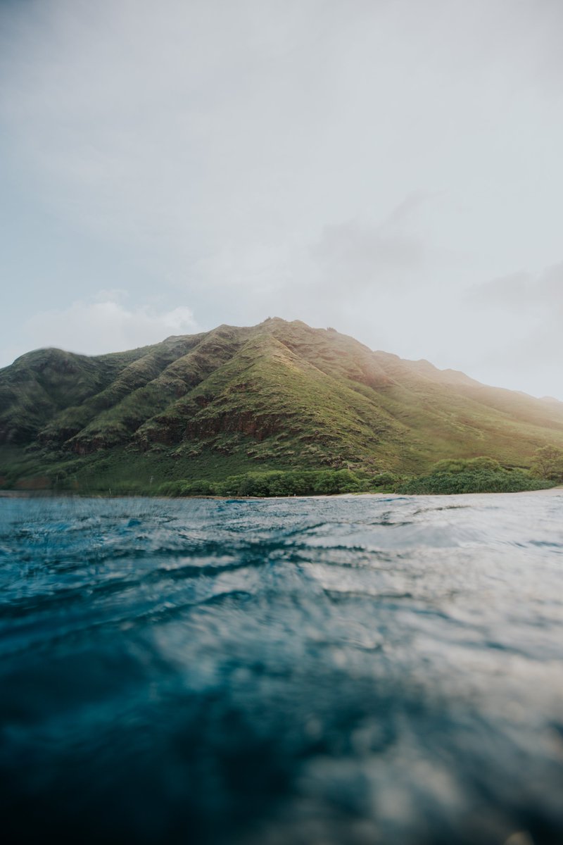 AQUATECH tweet media