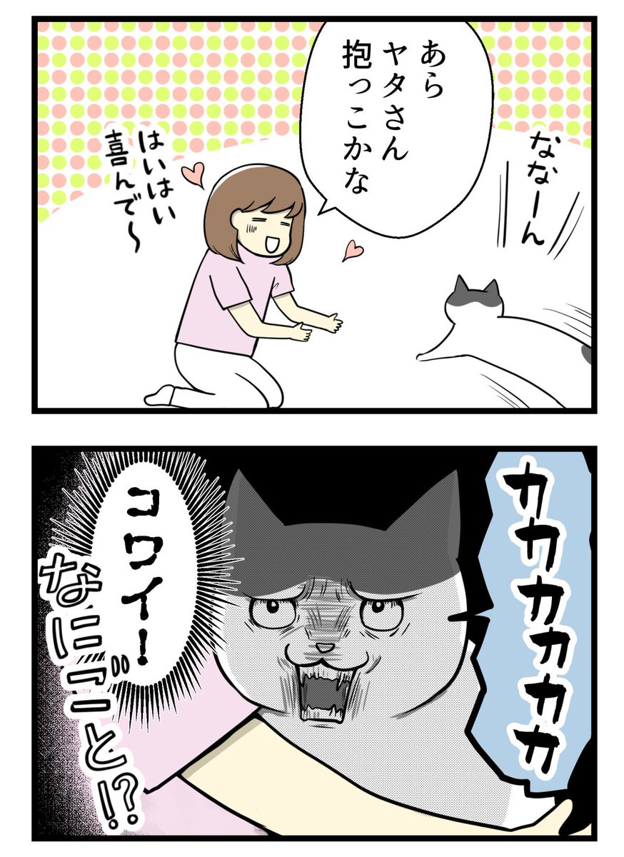 真夏のセミに翻弄されし者たちの話 #絵日記 #猫のいる生活 