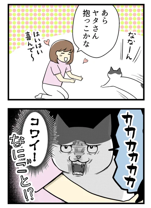 真夏のセミに翻弄されし者たちの話 #絵日記 #猫のいる生活 