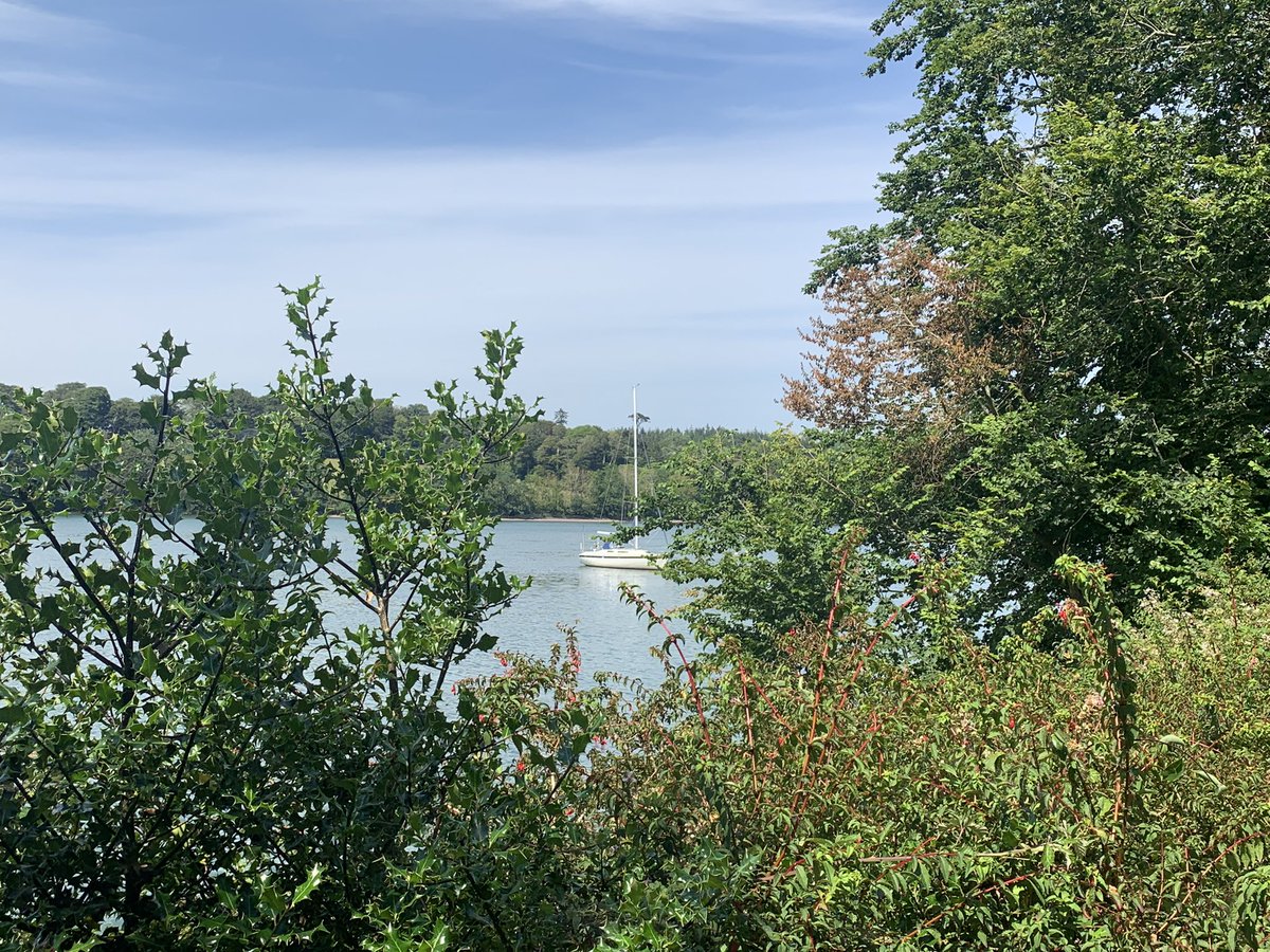 CairnsBrown's tweet photo. Beautiful East Cork-first time back in a year #midletoncollege #eastferry #nostalgia #catchingup https://t.co/RaJiDNUUm9