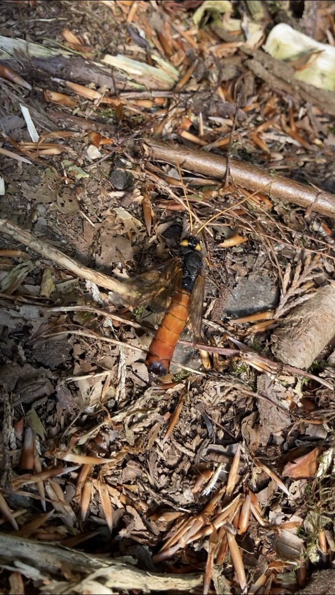 Piers Baker tweet media