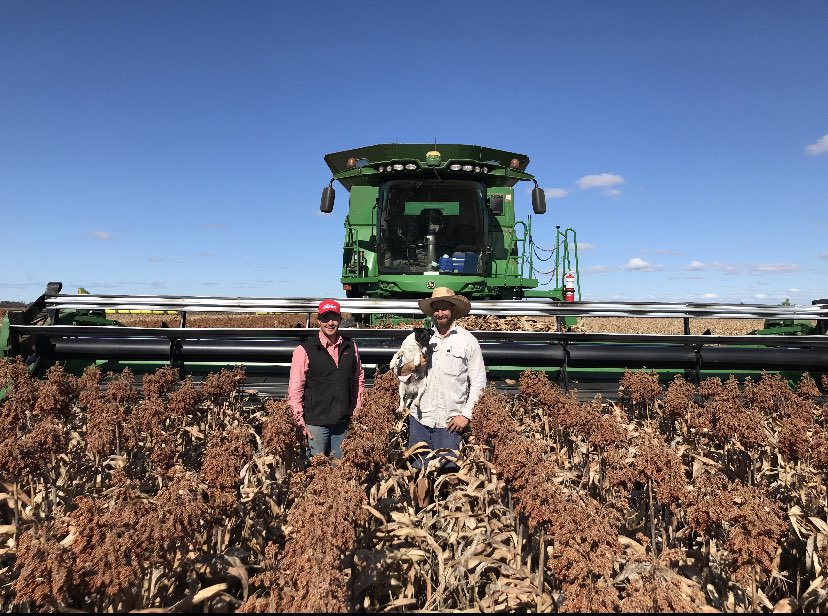 ‘What’s that Vulcan you’re happy to see the end of sorghum harvest’. Thanks again to the Von Pein family at Macalister, Qld for hosting another @PacificSeeds trial. Yield data to follow. #resolutedominace #morethanseed @KurtVonPein @LukeVonPein @mattynaum