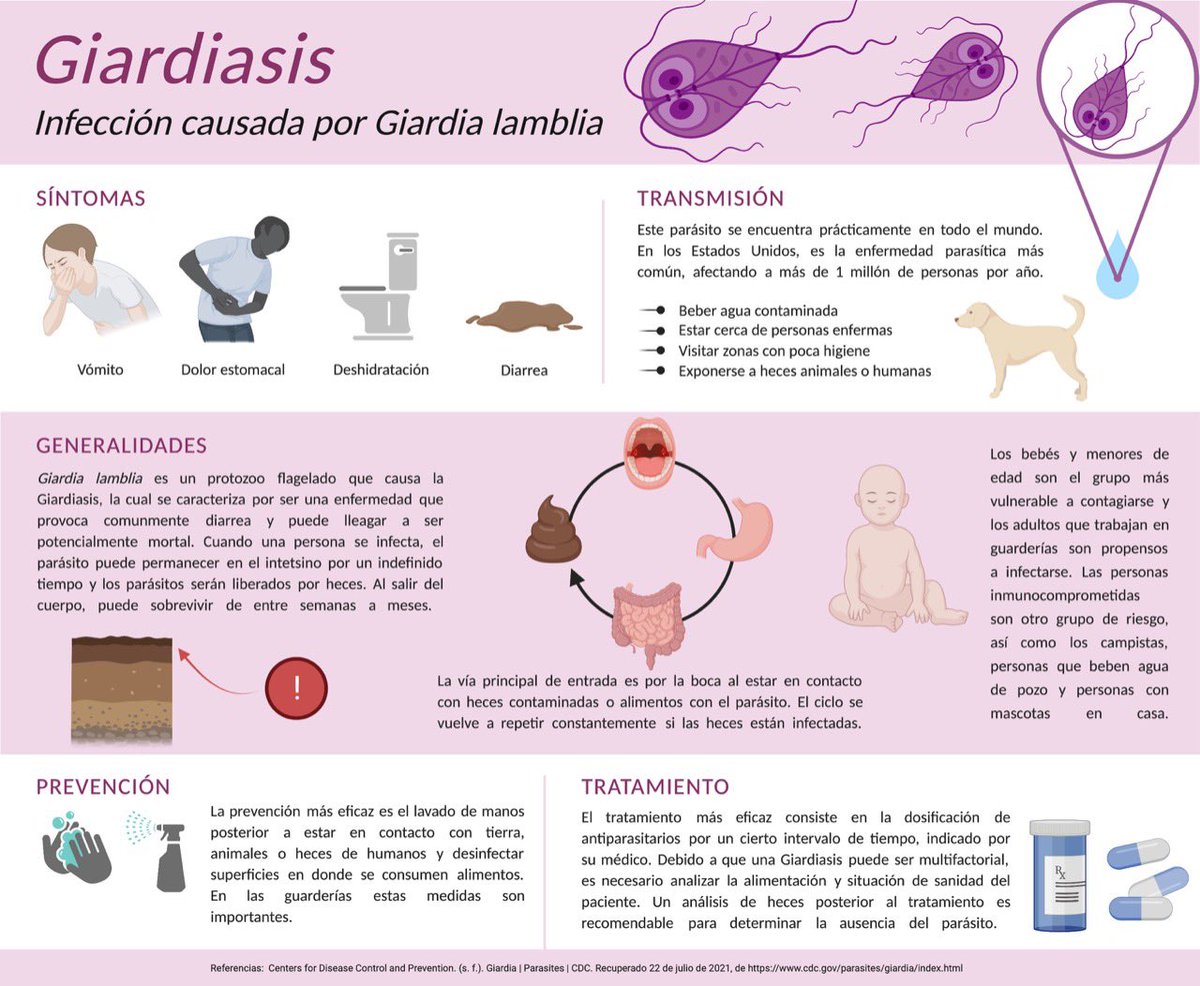 giardiasis causas