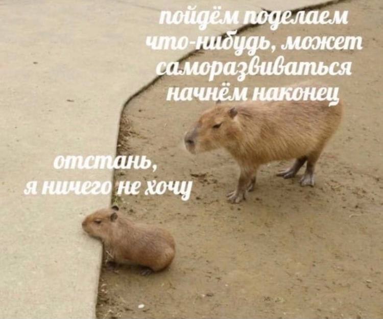 это Я                                и тоже Я