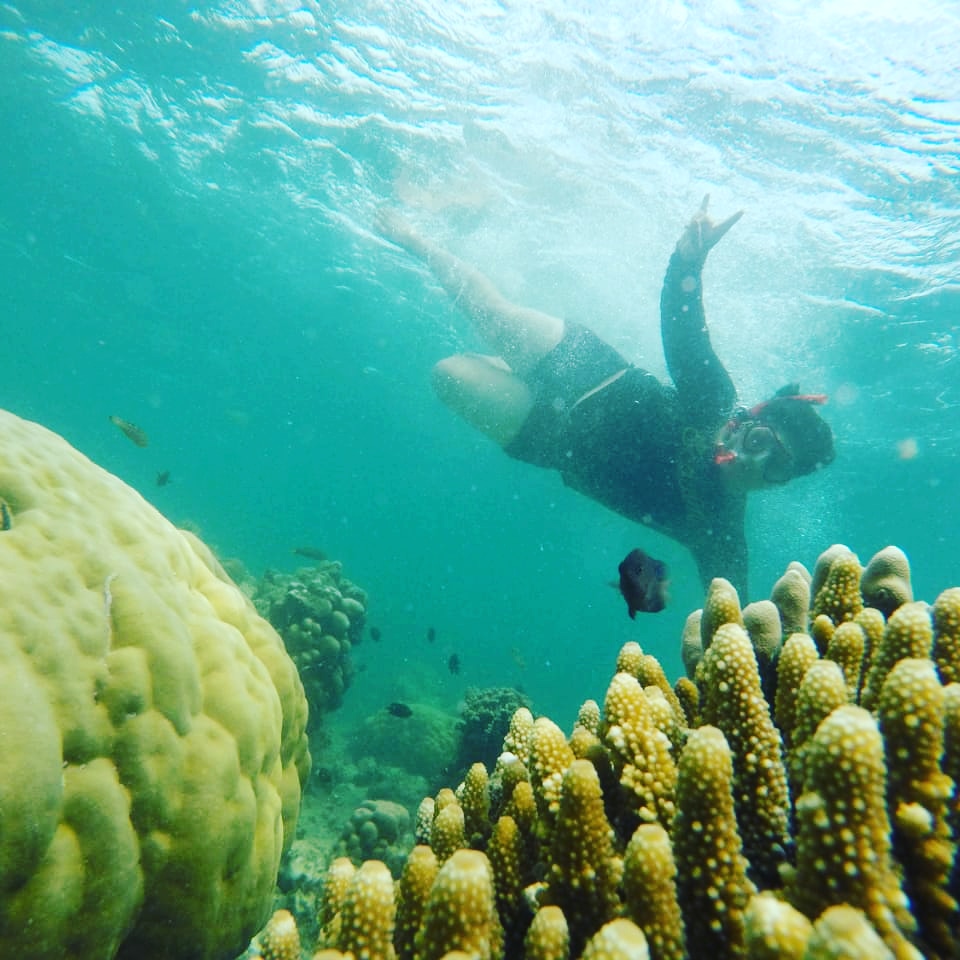 pa abu pulau harapan
menyediakan pesanan
seperti :
- pesanan tiket very pp
  jakarta pulau seribu
- ketring perasmanan/bx
- perahu jelajah/mancing 
  atau juga DIVING
- alat snorkling
- kamera undewater
- penginapan ac
- dll
bila berminat hubungi :
0857 8176 1899
0812 8975 4560