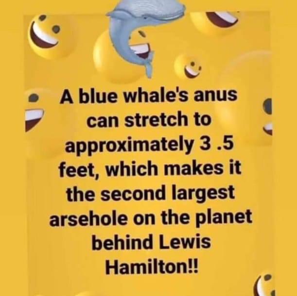 TRIGGERCAM tweet media